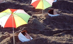 �w�h���ނ�����